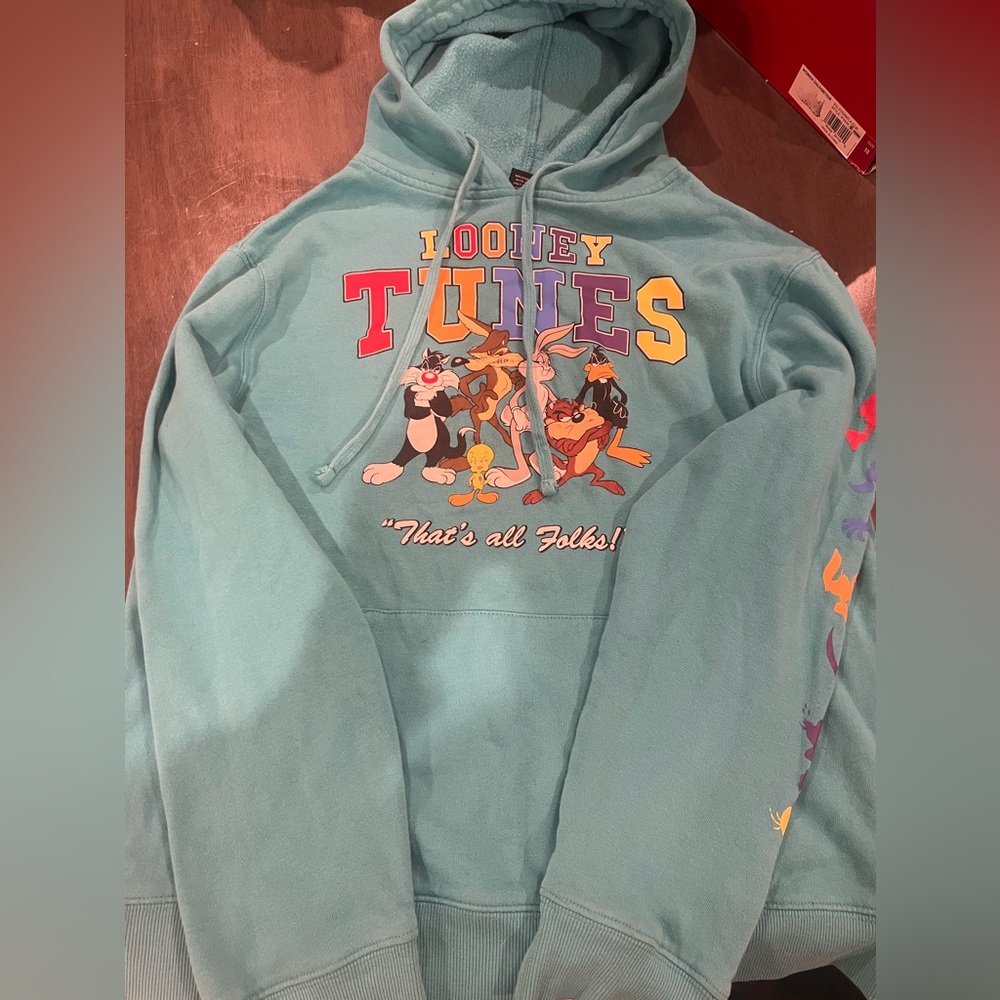 Looney Tunes teal men’s hoodie